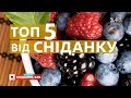 Топ-5 найкорисніших ягід