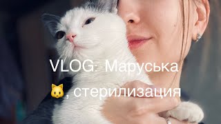 Vlog 3/23: Маруська 🐱, Стерилизация