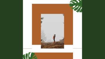 Pulsating Inspiring Reads