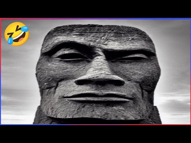 Best Fails of the Week 🤣 Try Not To Laugh Funny Videos #1