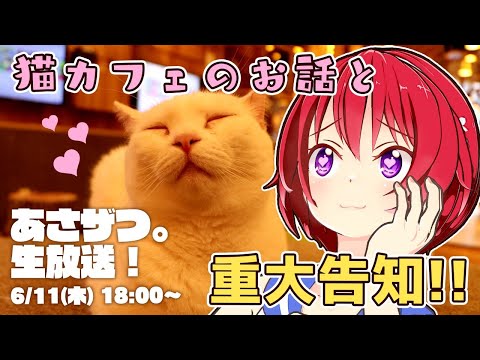 あさザツ～猫カフェ言ったお話と重大告知～