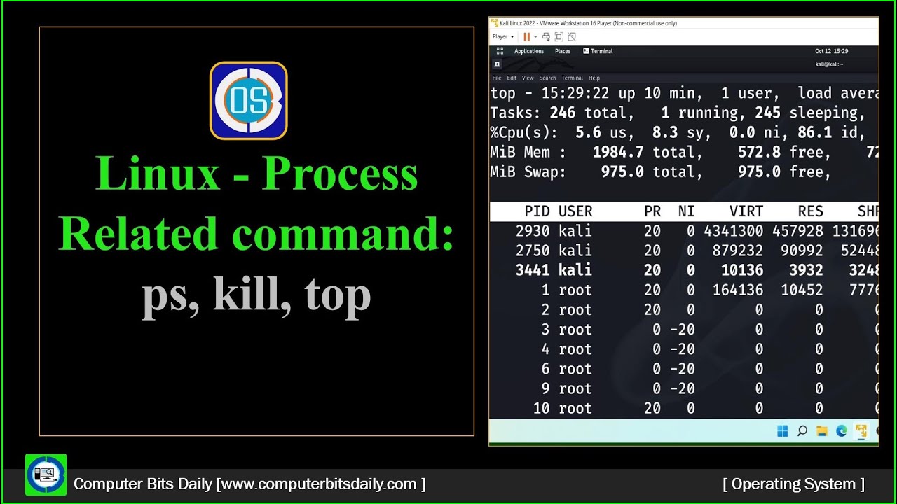 Linux process 0. Linux process 0