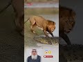حين تمتزج شجاعة الأم بحماية الله تصبح اللحظة أقوى من كل خوف Youtubeshorts Viral Love حين تمتزج شجاعة الأم بحماية الله تصبح اللحظة أقوى من كل خوف Youtubeshorts Viral Love