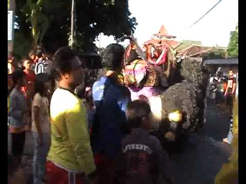 [Unik] Arak-arakan Sebelum Dikhitan