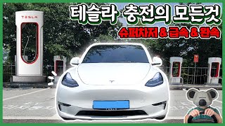 Tesla Model Y Charging! Supercharger, Fast Charging, and Home Charging