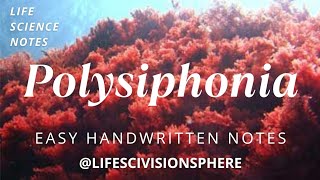 𝑃𝑜𝑙𝑦𝑠𝑖𝑝𝒉𝑜𝑛𝑖𝑎 | Classification, Structure, Reproduction & Triphasic Life Cycle | BSc Botany