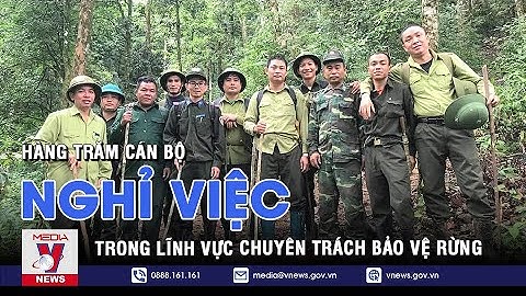 Hàng trăm cán bộ chuyên trách bảo vệ rừng xin nghỉ việc - VNEWS