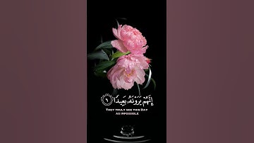 صباح الخير🌸حالات واتس اب مقاطع قصيره🌸قران كريم سورة المعارج فاصبر صبراً جميلا 🌸اسلام صبحي🌸بدون حقوق