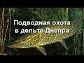 ПОДВОДНАЯ ОХОТА НА ДНЕПРЕ.