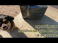 Залили полы в ванной /Пробую укоренять розы /Приобрели нужную вещь для стройки Переезд на Юг