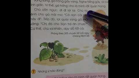 Đọc bài chú gà quan trọng (1)-Sách giáo khoa Tiếng Việt lớp 1 tập 2- Nguyễn Hải Đăng Vlog