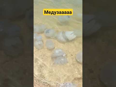 Азовское море!!! Берег