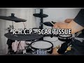 SCAR TISSUE - RED HOT CHILI PEPPERS (Drum Cover)