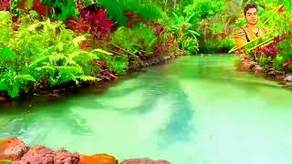 Enjoy the amazing nature view.  This video features relaxing music ideal for sleep, study, meditatio