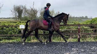 Jack flatwork video