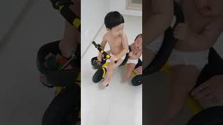 3살 첫 세발자전거 동생이랑 자전거타기 파파스토이 알파카 주니어
