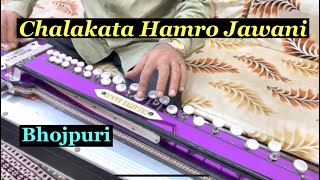 Chalakata Hamro Jawaniya || Bhojpuri || Banjo || Yusuf Darbar ||