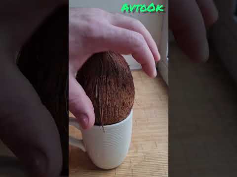 Как открыть кокос? How to open a coconut? #coconut