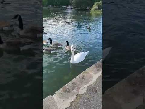 askern lake