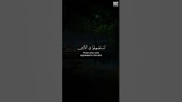 و ن ريد أ ن ن م ن ع ل ى ال ذين است ضع فوا ف ي الأ رض محمد صديق المنشاوي سورة القصص 