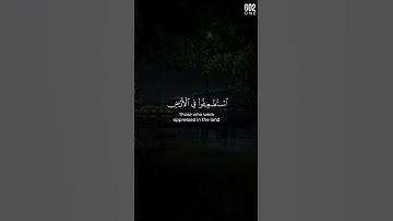 وَنُريدُ أَن نَمُنَّ عَلَى الَّذينَ استُضعِفوا فِي الأَرضِ | محمد صديق المنشاوي | سورة القصص