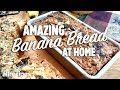 All Recipes Banana Bread Recipes - Joy S Easy Banana Bread Recipe Allrecipes / I would reduce the sugar by 1/4 cup if the banana is really ripe and sweet, but that's personal preference.