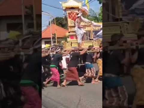 Tradisi Ngaben di Buleleng, Bali #ngabenbali #tradisibali