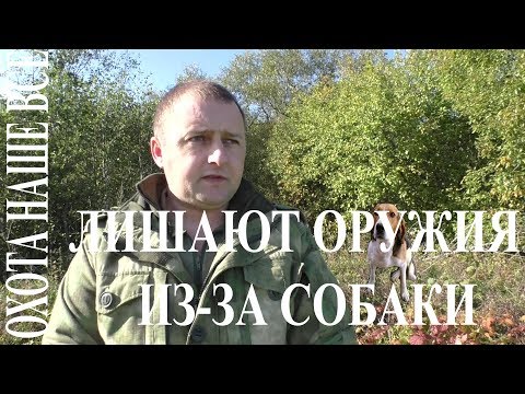 Внимание! Охотника лишают права охоты с конфискацией оружия из-за собаки.