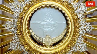 Adoration du Saint Sacrement en direct / Perpetual Adoration Live 24-05-2026