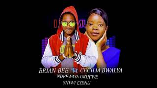 Latest Music 2024 Ndefwaya Kumfwe - Brian bee ft Cecilia