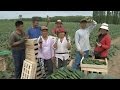 Val de cisse production marachre courgettes film de thierry damilano