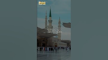 إن الله وملائكته يصلون على النبي #سورة_الأحزاب #فارس_عباد #trend #اكسبلور #trending #explore #قرآن