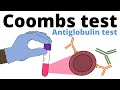 Understanding the Coombs Test