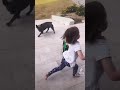 Girl Mows Lawn with Toy Lawnmower