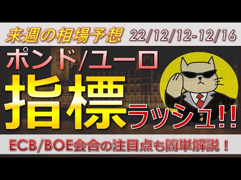 【ポンド最新予想】指標連発でポンド乱高下?!ECB・BOEの注目点は?簡単解説!来週のポンド・ユーロドル・豪ドルの為替相場予想と投資戦略!FOMC・雇用・CPIに注目! (22/12/12週)【FX】