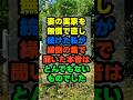 妻の実家を無償で直したら、陰で言われた本音