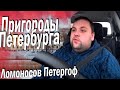 Работа в Эконом такси. Пригороды Санкт-Петребурга. Ломоносов