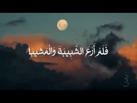 أنا العبد السقيم من الخطايا الأنشودة كاملة بدون مؤثرات مشاري راشد العفاسي 