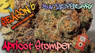 Season 6: Muv Dispensary-#101 Apricot Stomper (Video Product Review Coming Soon)