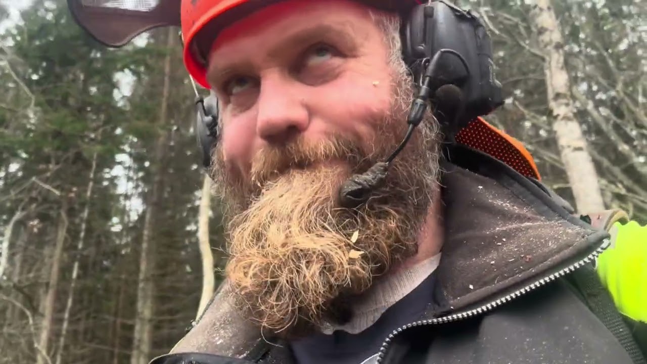 Tree Monkey smakade på Stihl 500i