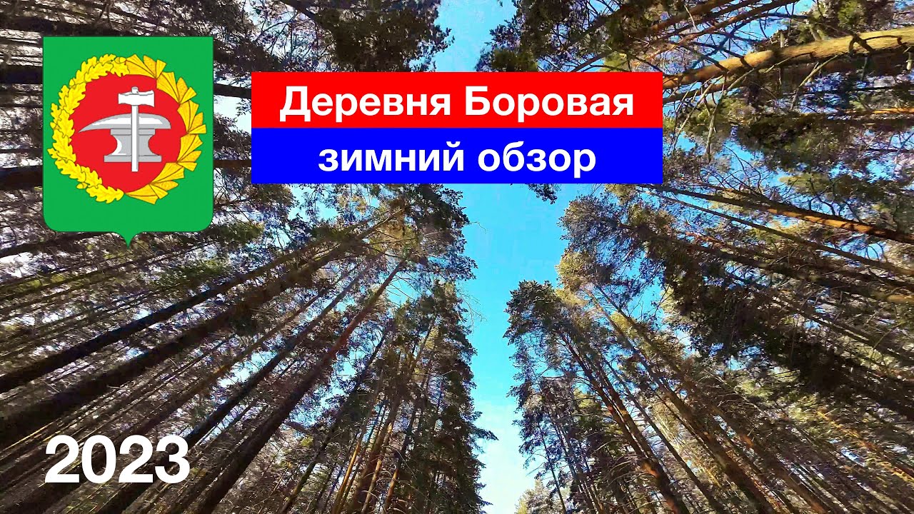 [4K] Деревня Боровая / Зимний обзор / Родник / Озеро / ул. Озёрная ...