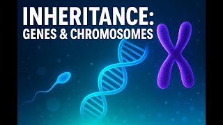 Unlocking Your Genetic Blueprint Inheritance IGCSE