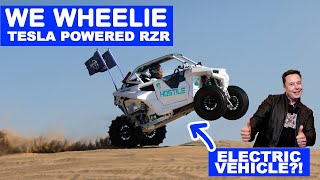 Tesla Powered RZR does Wheelies! Insane Power