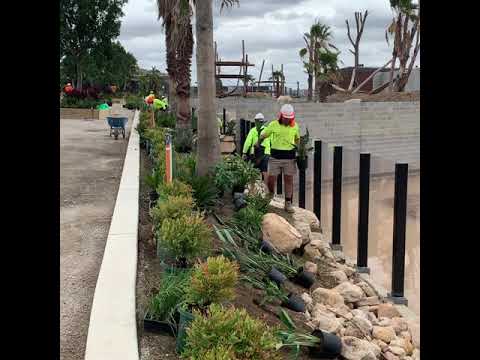 Sydney Zoo Construction Update March 2019