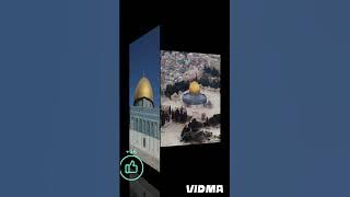Palestine ringtone please support #trendingshorts #viralvideo ❤️👍🇯🇴🕌