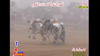 Malik bashi khan khunda ... Lala arshad kamra