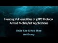 Hunting Vulnerabilities Of gRPC Protocol Armed Mobile/IoT Applications