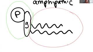 Chapter 5 Proteins 1