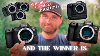 LUXURY vs NECESSITY | Don't WASTE YOUR MONEY On The WRONG CAMERA! | Canon Wildlife Camera Guide