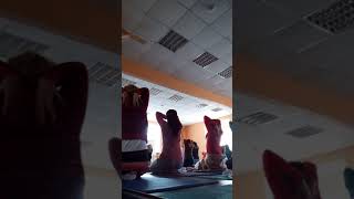 Курс счастья ,дыхательные практики ...Шри Шри Рави Шанкара учитель века)))всем счастья Курс счастья ,дыхательные практики ...Шри Шри Рави Шанкара учитель века)))всем счастья